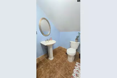 6 Green Shank Court, Irmo, SC 29063 - Photo 26