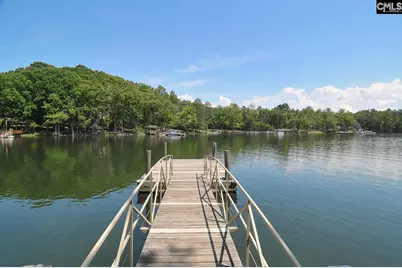 603 Riverdale Court, Chapin, SC 29036 - Photo 66