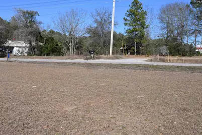 146 Smith Pond Road, Lexington, SC 29072 - Photo 38