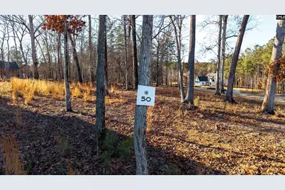 Lot 50 Shoreview Drive #50, Prosperity, SC 29172 - Photo 4
