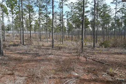 622 Pickett Thomas Road, Camden, SC 29020 - Photo 16