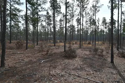 622 Pickett Thomas Road, Camden, SC 29020 - Photo 6