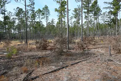 622 Pickett Thomas Road, Camden, SC 29020 - Photo 22