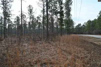622 Pickett Thomas Road, Camden, SC 29020 - Photo 2