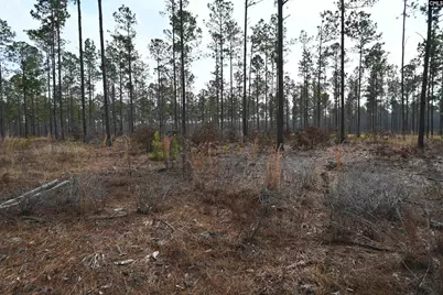 622 Pickett Thomas Road, Camden, SC 29020 - Photo 8