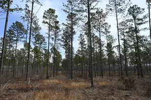 622 Pickett Thomas Rd, Camden, SC 29020 - Photo 1