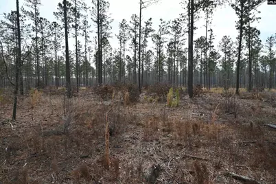 622 Pickett Thomas Road, Camden, SC 29020 - Photo 10