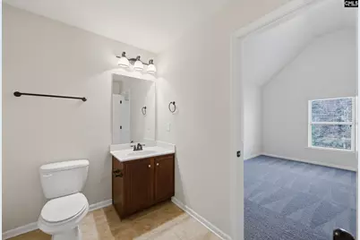 233 Blue Indigo Circle, Irmo, SC 29212 - Photo 34