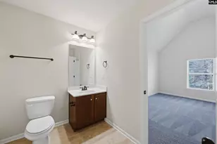 233 Blue Indigo Cir, Irmo, SC 29212 - Photo 34