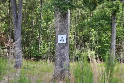 41 Shoreview Drive #41, Prosperity, SC 29127 - Photo 4