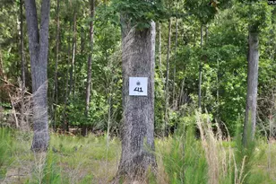 41 Shoreview Dr, Prosperity, SC 29127 - Photo 4