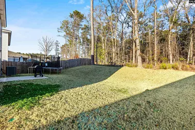 155 Grand Arbor Drive, Blythewood, SC 29016 - Photo 32