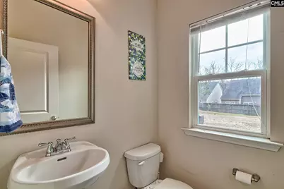 523 Flat Creek Drive, Blythewood, SC 29016 - Photo 20