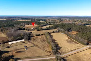 364 Cantey Ln, Rembert, SC 29128 - Photo 36