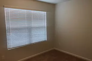 413 Pinaster Path, West Columbia, SC 29169 - Photo 14