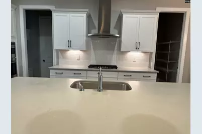 2019 Ludlow Place, Chapin, SC 29036 - Photo 20