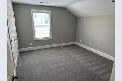 2019 Ludlow Place, Chapin, SC 29036 - Photo 26