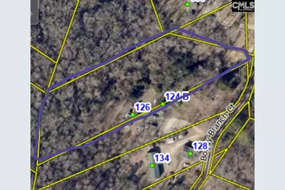 124 Boggy Branch Ct., Gaston, SC 29053 - Photo 2