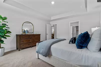 203 Calm Citadel Drive, Pelion, SC 29123 - Photo 18