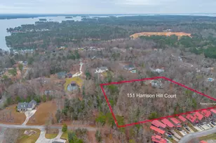 151 Harrison Hill Ct, Gilbert, SC 29054 - Photo 4