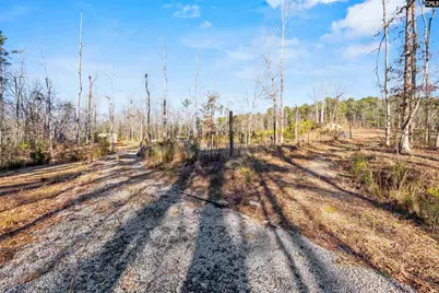 1218 Nick Watts Road, Lugoff, SC 29078 - Photo 4