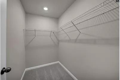 141 Winding Chestnut Drive, Columbia, SC 29212 - Photo 22