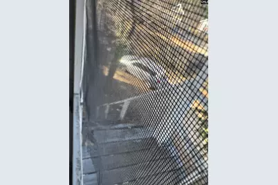 2733 River Drive, Columbia, SC 29201 - Photo 6