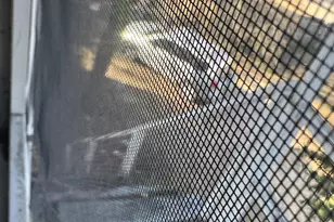 2733 River Dr, Columbia, SC 29201 - Photo 6