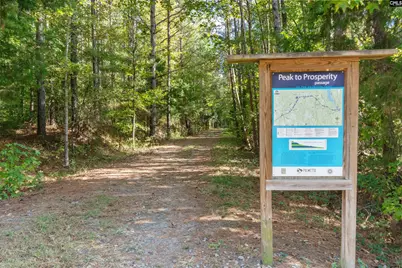 310 Caballeros Trail, Prosperity, SC 29127 - Photo 6