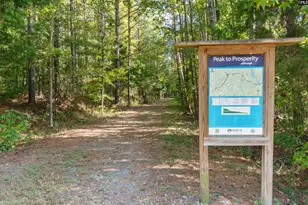 310 Caballeros Trail, Prosperity, SC 29127 - Photo 6