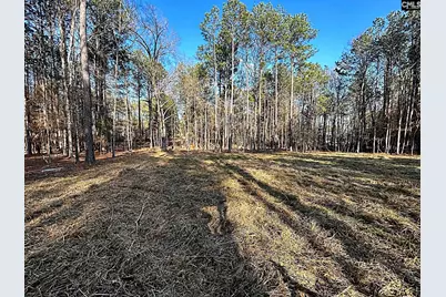 0 Circle H Woods Road, Prosperity, SC 29127 - Photo 2