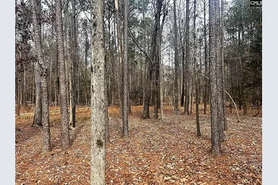 0 Circle H Woods Road, Prosperity, SC 29127 - Photo 8