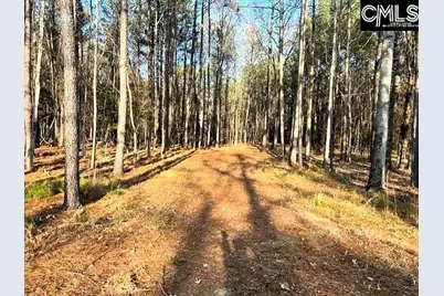 0 Circle H Woods Road, Prosperity, SC 29127 - Photo 4