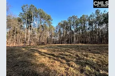 0 Circle H Woods Road, Prosperity, SC 29127 - Photo 6