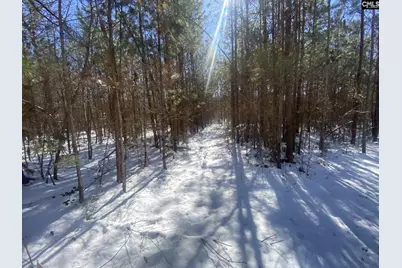 0 Plantation Acres Road, Newberry, SC 29108 - Photo 4