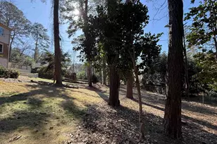 6033 Robinwood Rd, Columbia, SC 29206 - Photo 58