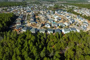 620 Blue Ledge Cir, Lexington, SC 29072 - Photo 50