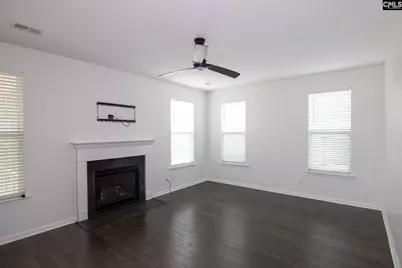 1213 Portrait Hill Drive, Chapin, SC 29036 - Photo 8