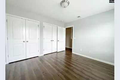 1213 Portrait Hill Drive, Chapin, SC 29036 - Photo 24