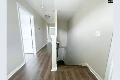 1213 Portrait Hill Drive, Chapin, SC 29036 - Photo 34