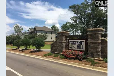 1213 Portrait Hill Drive, Chapin, SC 29036 - Photo 50