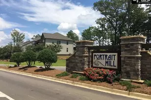 1213 Portrait Hill Dr, Chapin, SC 29036 - Photo 50