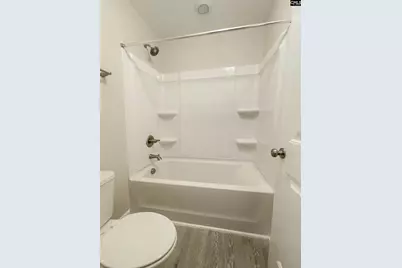 1213 Portrait Hill Drive, Chapin, SC 29036 - Photo 46