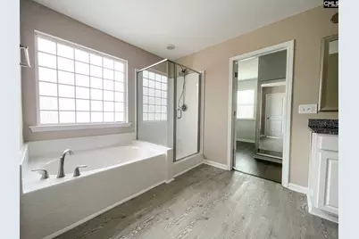 1213 Portrait Hill Drive, Chapin, SC 29036 - Photo 18