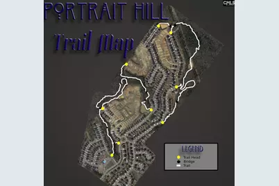 1213 Portrait Hill Drive, Chapin, SC 29036 - Photo 56