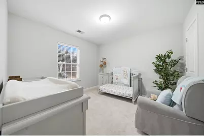 166 Flinchum Place, Lexington, SC 29073 - Photo 18