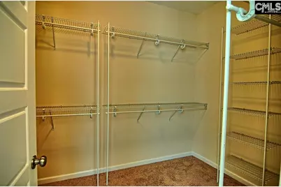 1192 Portrait Hill Drive, Chapin, SC 29036 - Photo 22