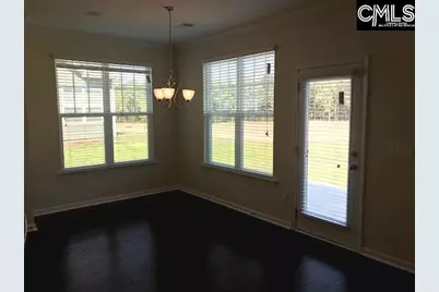 1192 Portrait Hill Drive, Chapin, SC 29036 - Photo 6