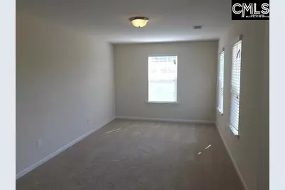 1192 Portrait Hill Drive, Chapin, SC 29036 - Photo 14