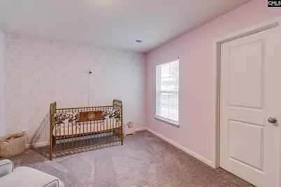 325 Chetsley Drive, Lexington, SC 29073 - Photo 24